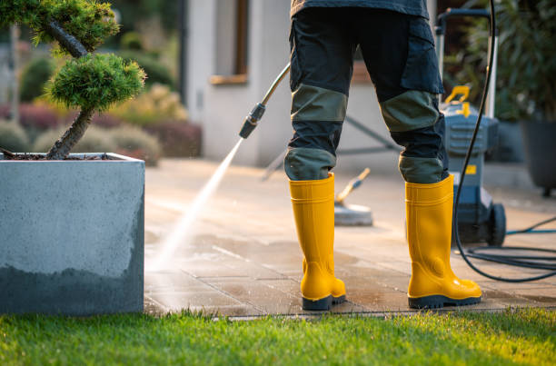 Best Sidewalk Pressure Washing  in Ransomville, NY
